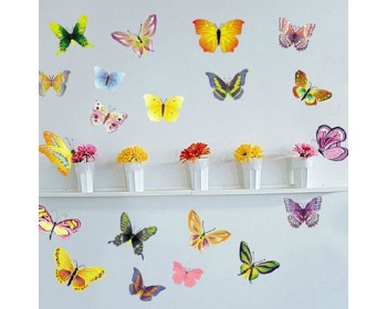 Beautiful Butterflies  Beautiful Butterflies